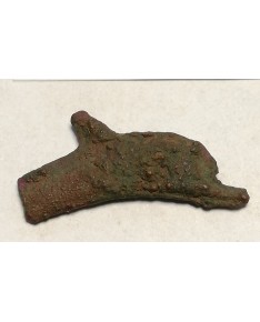 Olbija. Delfinas, 500-400 BC (iš kolekcijos)