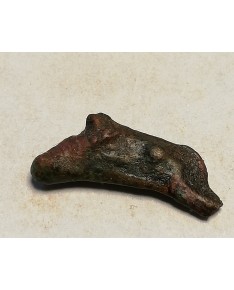 Olbija. Delfinas, 500-400 BC (iš kolekcijos)