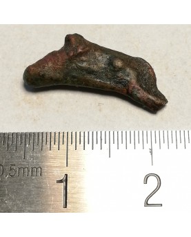 Olbija. Delfinas, 500-400 BC (iš kolekcijos)