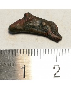 Olbija. Delfinas, 500-400 BC (iš kolekcijos)