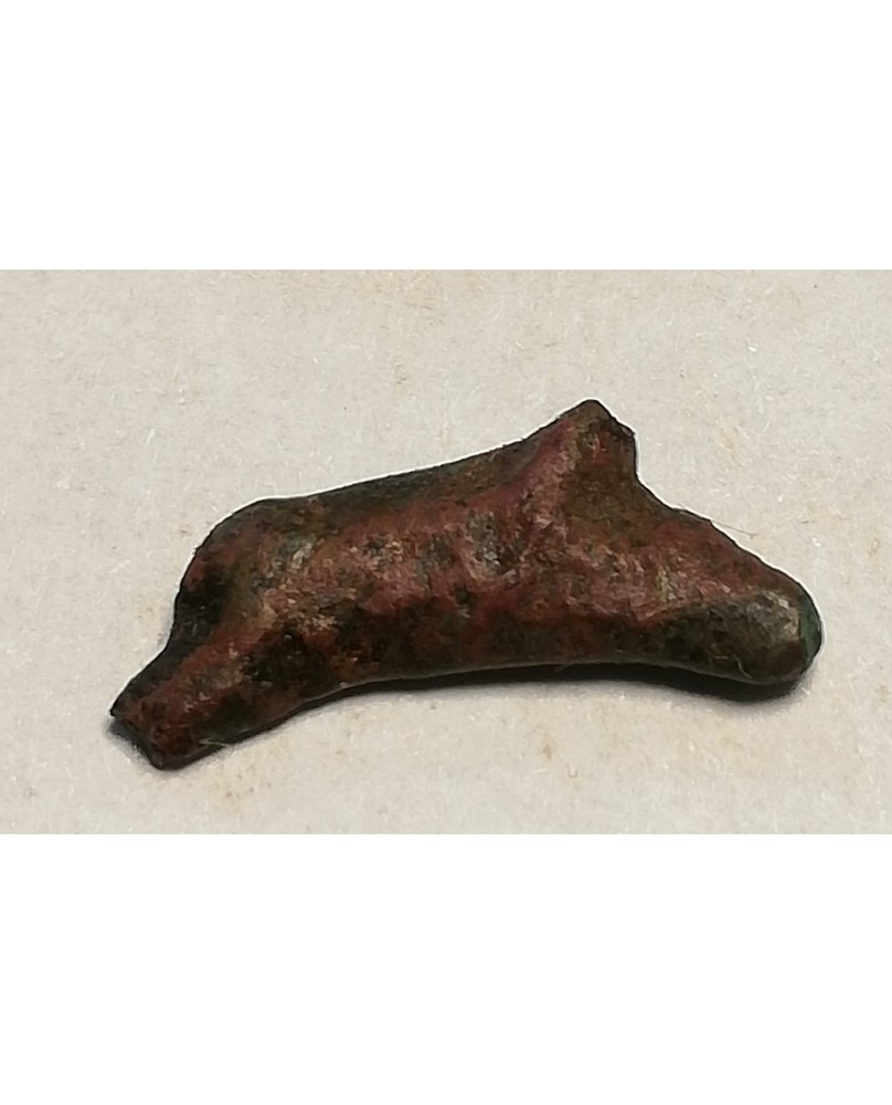 Olbija. Delfinas, 500-400 BC (iš kolekcijos) Olbija. Delfinas, 500-400 BC (iš kolekcijos)