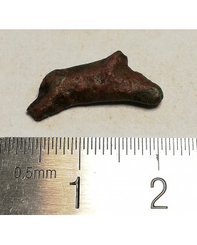 Olbija. Delfinas, 500-400 BC (iš kolekcijos)