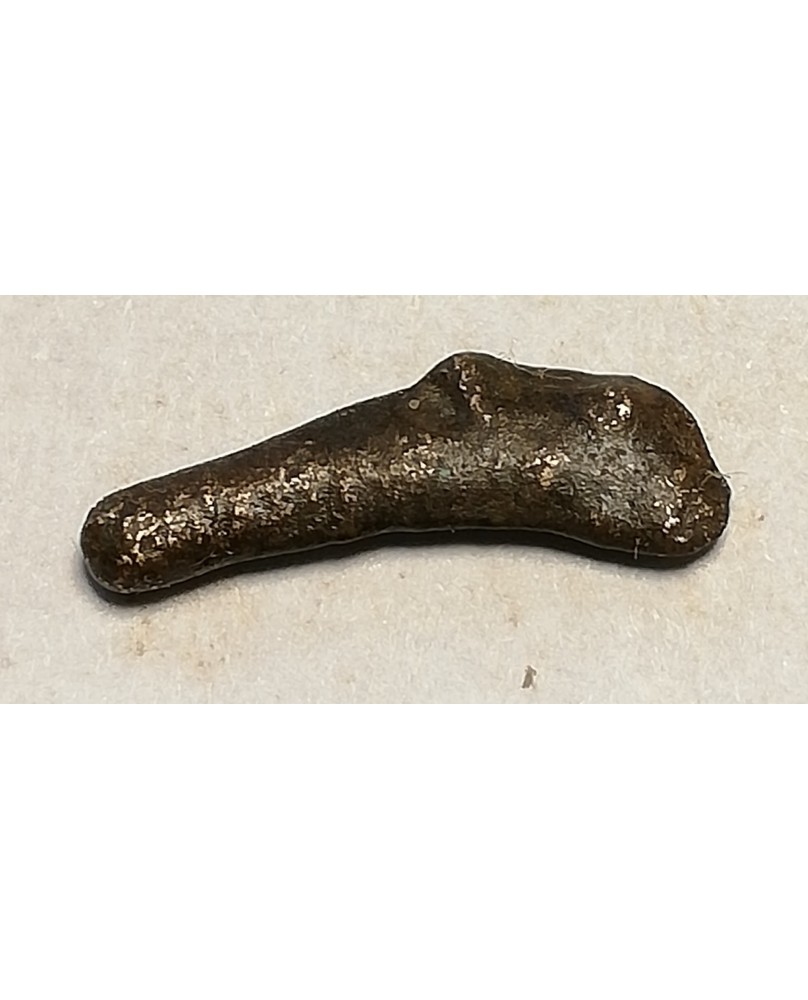 Olbija. Delfinas, 500-400 BC (iš kolekcijos)