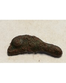Olbija. Delfinas, 500-400 BC (iš kolekcijos)