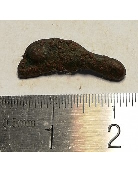 Olbija. Delfinas, 500-400 BC (iš kolekcijos)