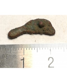Olbija. Delfinas, 500-400 BC (iš kolekcijos)
