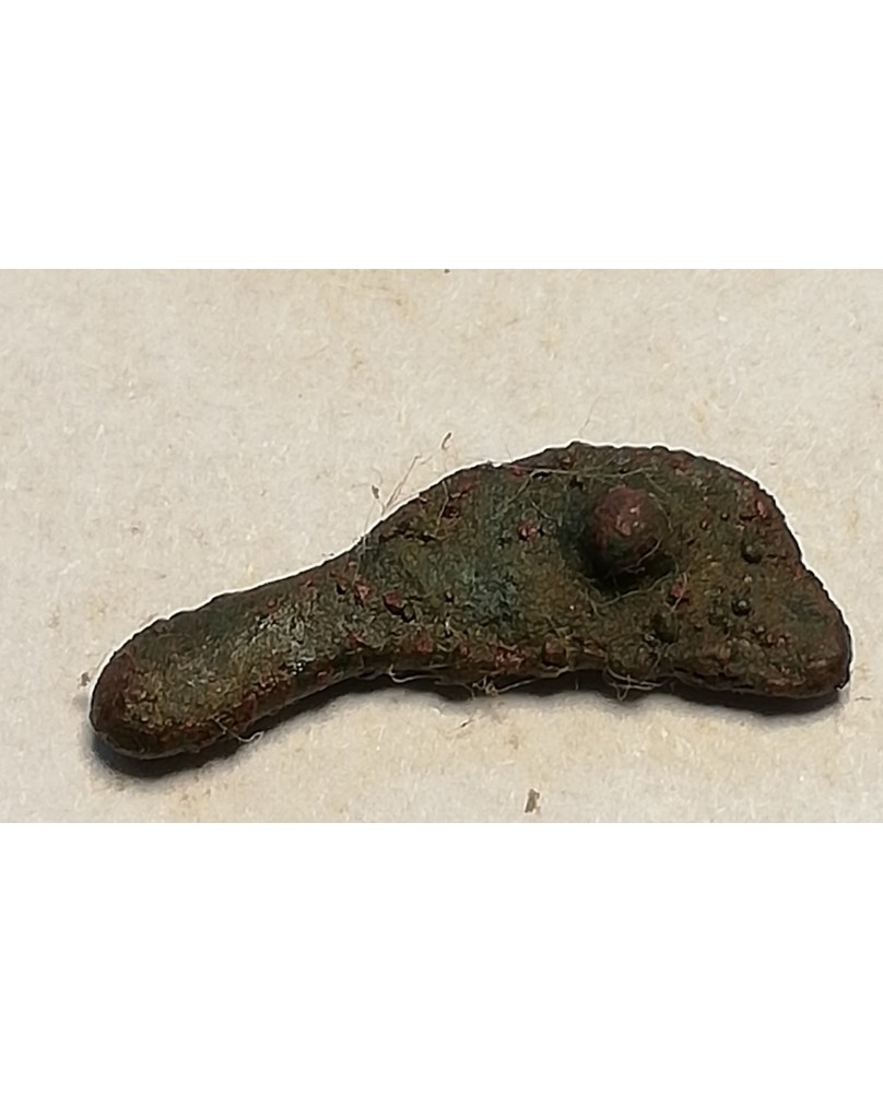 Olbija. Delfinas, 500-400 BC (iš kolekcijos) Olbija. Delfinas, 500-400 BC (iš kolekcijos)