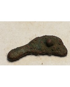 Olbija. Delfinas, 500-400 BC (iš kolekcijos)
