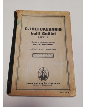 P. Šinkūnas. "Užeuropiai....