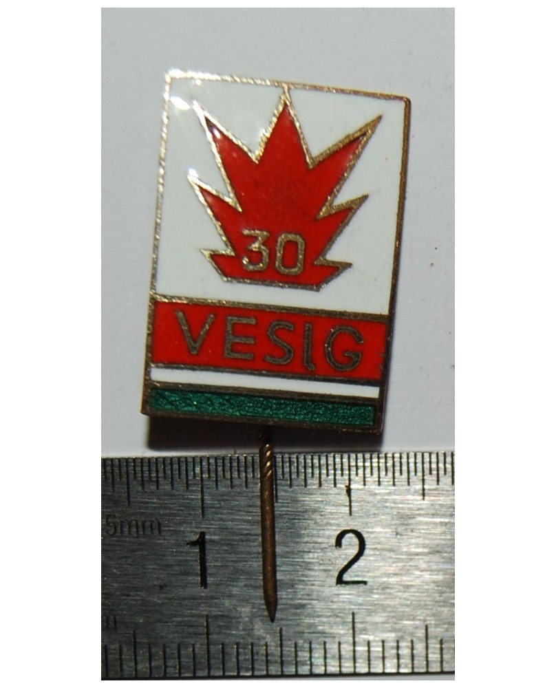 Ženkliukas "VESIG XXX", (zz099) Ženkliukas "VESIG XXX", (zz099)