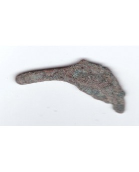 Olbija. Delfinas, 500-400 BC
